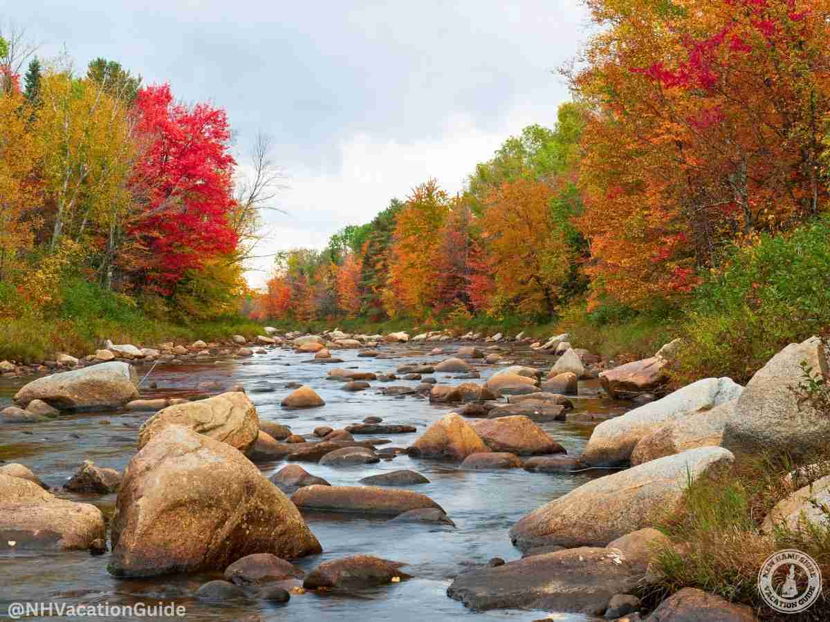 conway nh river with stones and fall foliage trees
